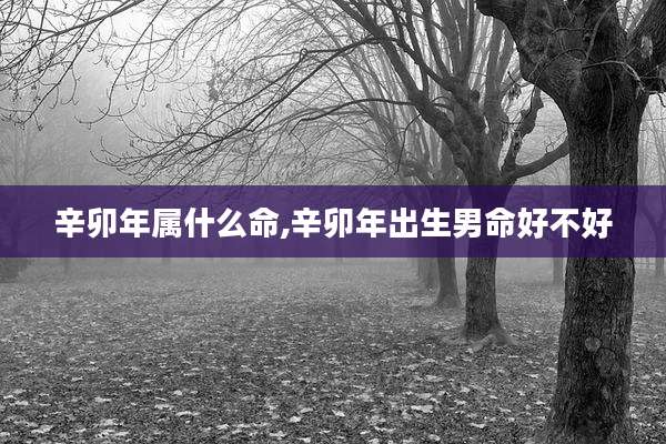 辛卯年属什么命,辛卯年出生男命好不好