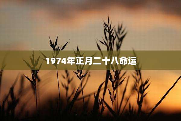 1974年正月二十八命运