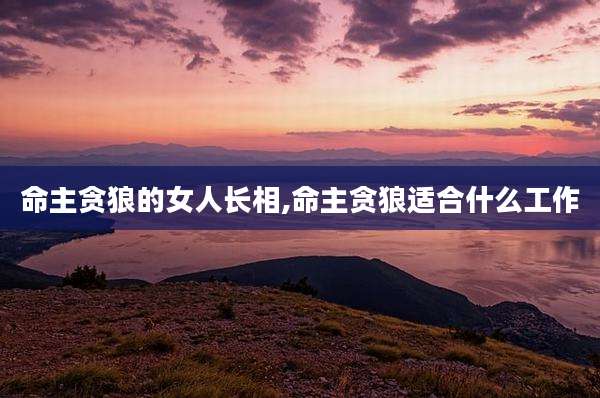 命主贪狼的女人长相,命主贪狼适合什么工作