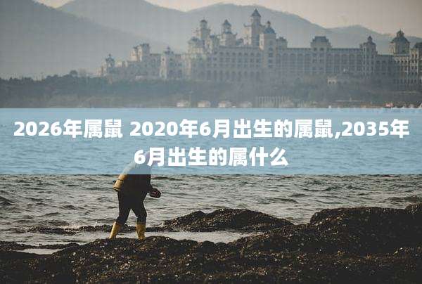 2026年属鼠 2020年6月出生的属鼠,2035年6月出生的属什么