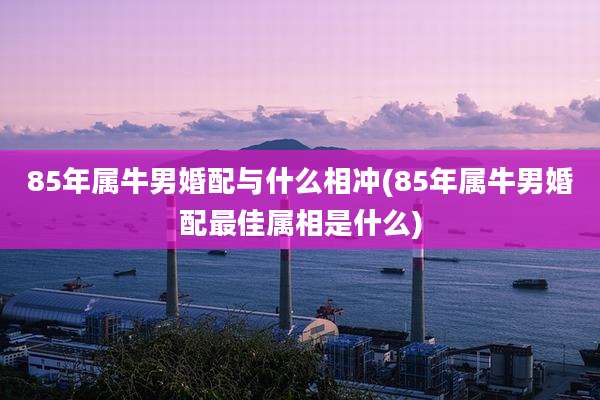 85年属牛男婚配与什么相冲(85年属牛男婚配最佳属相是什么)