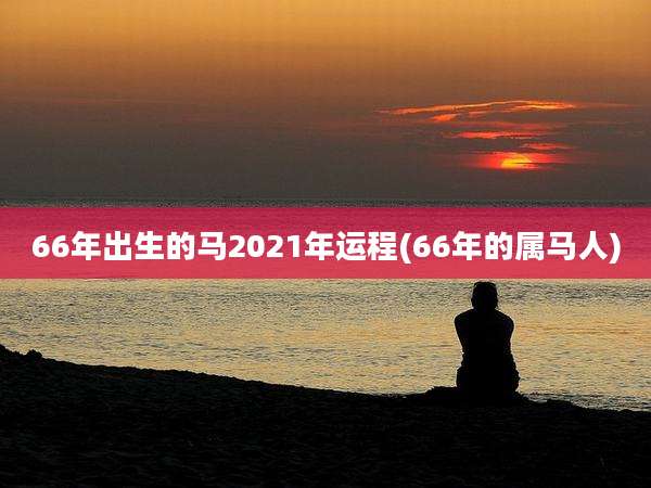 66年出生的马2021年运程(66年的属马人)