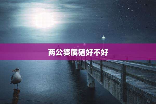 两公婆属猪好不好