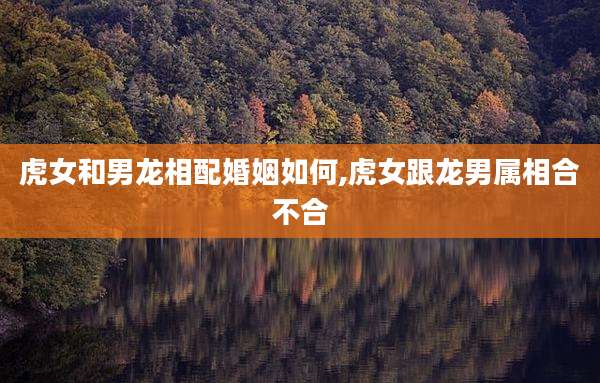 虎女和男龙相配婚姻如何,虎女跟龙男属相合不合