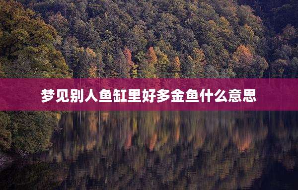 梦见别人鱼缸里好多金鱼什么意思