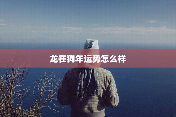 龙在狗年运势怎么样