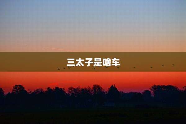 三太子是啥车