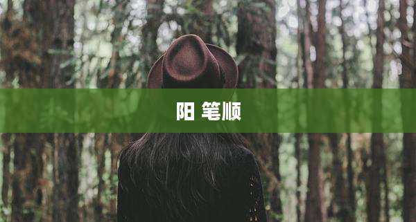 阳 笔顺