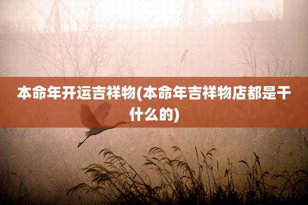 本命年开运吉祥物(本命年吉祥物店都是干什么的)