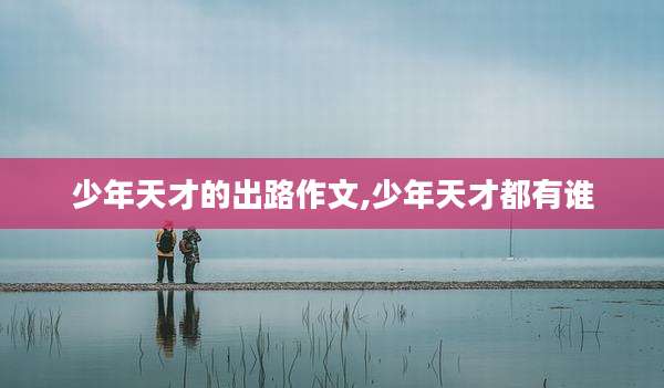 少年天才的出路作文,少年天才都有谁