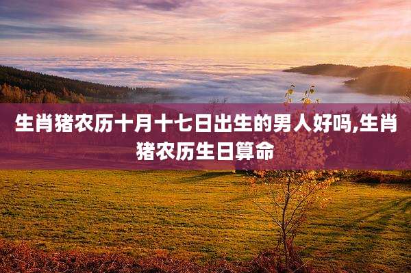 生肖猪农历十月十七日出生的男人好吗,生肖猪农历生日算命