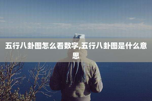 五行八卦图怎么看数字,五行八卦图是什么意思