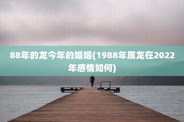 88年的龙今年的婚姻(1988年属龙在2022年感情如何)