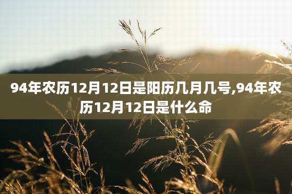 94年农历12月12日是阳历几月几号,94年农历12月12日是什么命