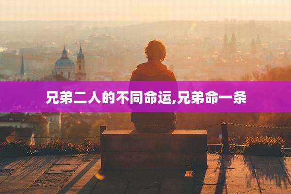 兄弟二人的不同命运,兄弟命一条