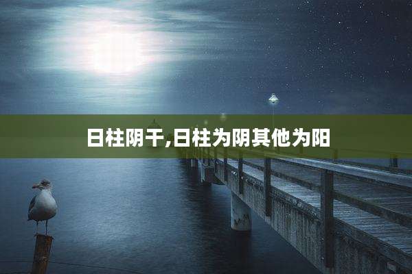 日柱阴干,日柱为阴其他为阳
