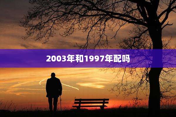 2003年和1997年配吗