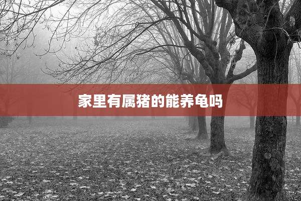 家里有属猪的能养龟吗
