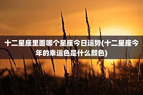 十二星座里面哪个星座今日运势(十二星座今年的幸运色是什么颜色)