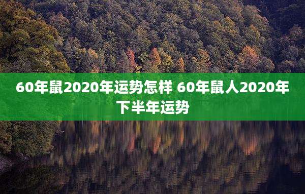 60年鼠2020年运势怎样 60年鼠人2020年下半年运势