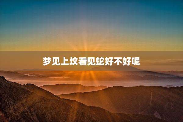 梦见上坟看见蛇好不好呢