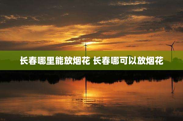 长春哪里能放烟花 长春哪可以放烟花