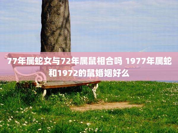 77年属蛇女与72年属鼠相合吗 1977年属蛇和1972的鼠婚姻好么