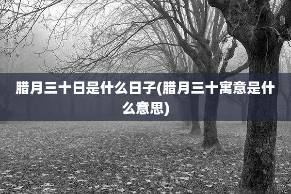 腊月三十日是什么日子(腊月三十寓意是什么意思)
