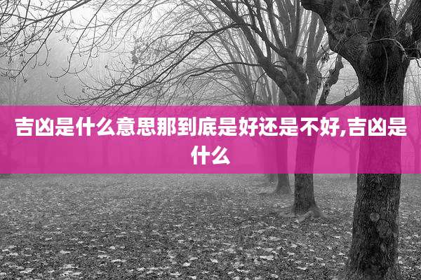吉凶是什么意思那到底是好还是不好,吉凶是什么