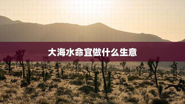 大海水命宜做什么生意