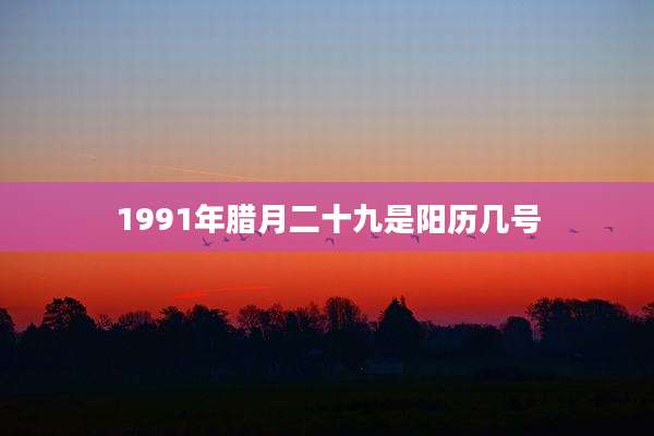 1991年腊月二十九是阳历几号