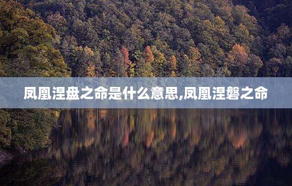 凤凰涅盘之命是什么意思,凤凰涅磐之命