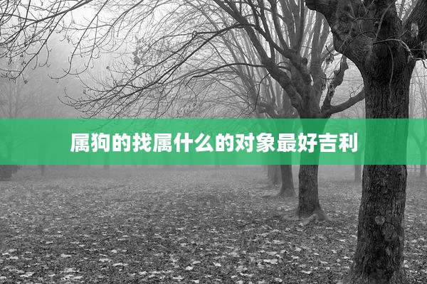属狗的找属什么的对象最好吉利