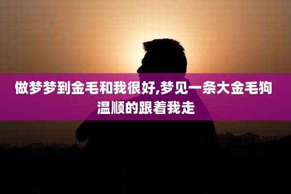 做梦梦到金毛和我很好,梦见一条大金毛狗 温顺的跟着我走