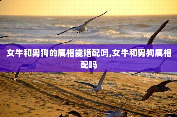 女牛和男狗的属相能婚配吗,女牛和男狗属相配吗