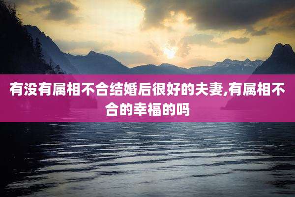 有没有属相不合结婚后很好的夫妻,有属相不合的幸福的吗