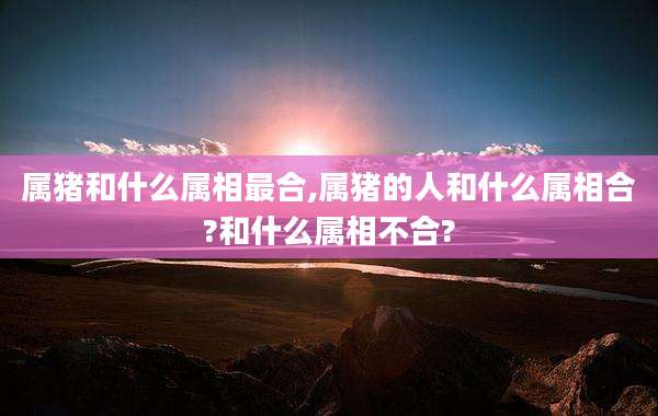 属猪和什么属相最合,属猪的人和什么属相合?和什么属相不合?