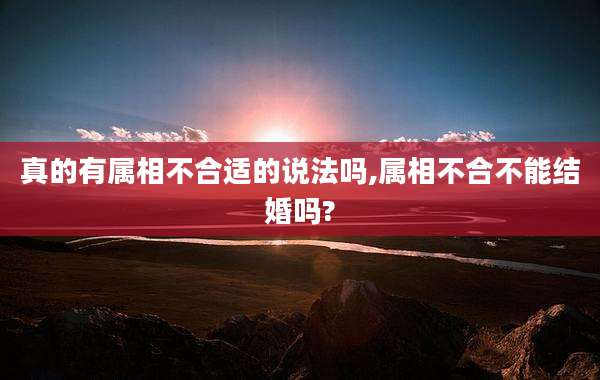 真的有属相不合适的说法吗,属相不合不能结婚吗?
