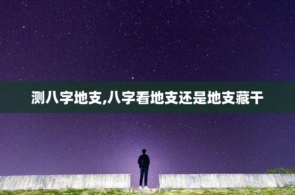 测八字地支,八字看地支还是地支藏干