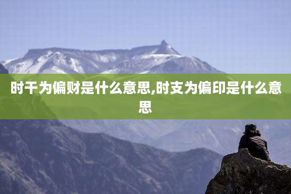 时干为偏财是什么意思,时支为偏印是什么意思