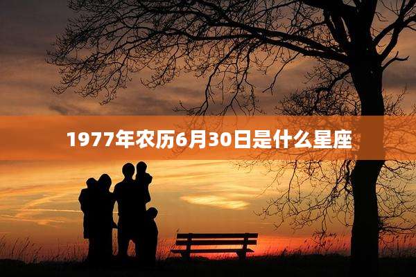 1977年农历6月30日是什么星座