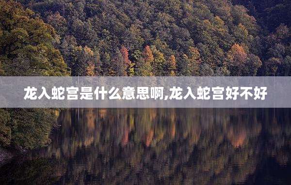 龙入蛇宫是什么意思啊,龙入蛇宫好不好