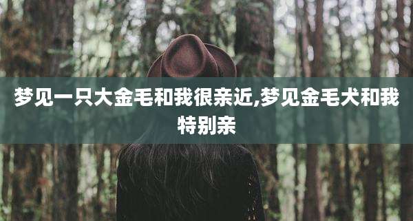 梦见一只大金毛和我很亲近,梦见金毛犬和我特别亲