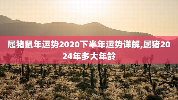 属猪鼠年运势2020下半年运势详解,属猪2024年多大年龄