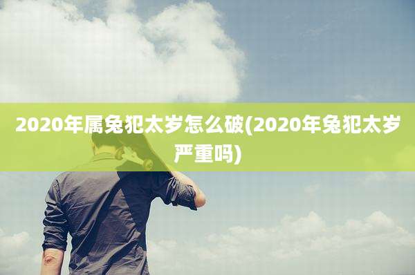 2020年属兔犯太岁怎么破(2020年兔犯太岁严重吗)