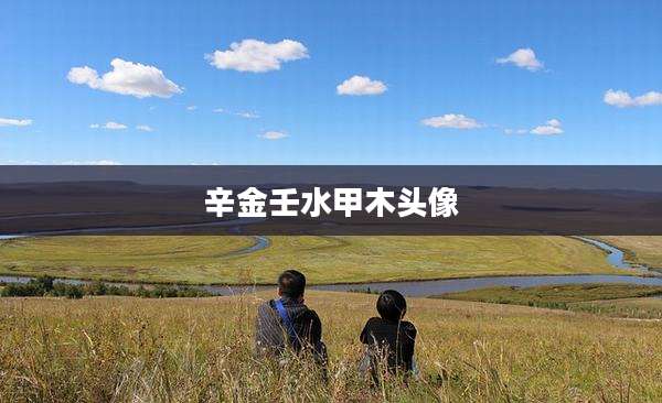 辛金壬水甲木头像