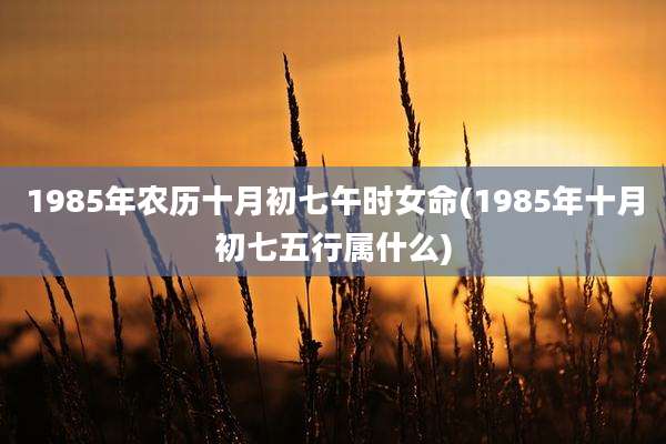 1985年农历十月初七午时女命(1985年十月初七五行属什么)