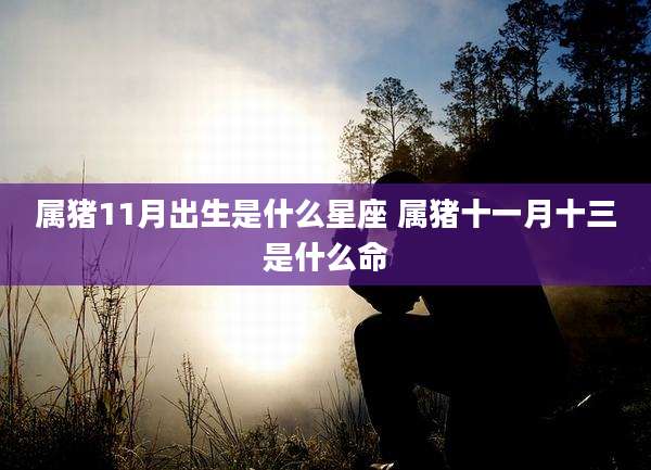 属猪11月出生是什么星座 属猪十一月十三是什么命