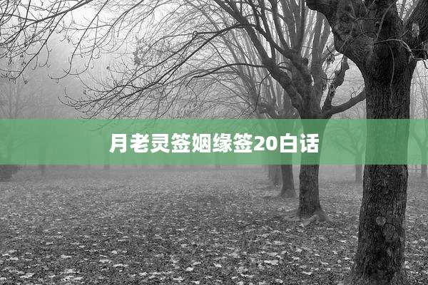 月老灵签姻缘签20白话