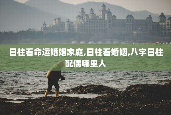 日柱看命运婚姻家庭,日柱看婚姻,八字日柱配偶哪里人